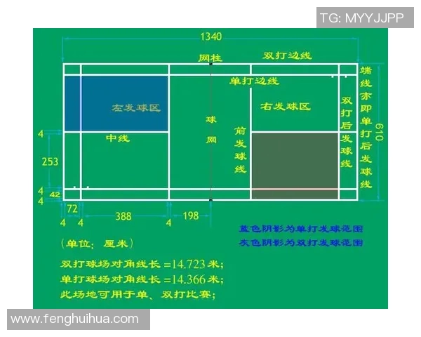 羽毛球赛事裁判规则更新及影响评估 羽毛球赛事裁判规则更新及影响评估